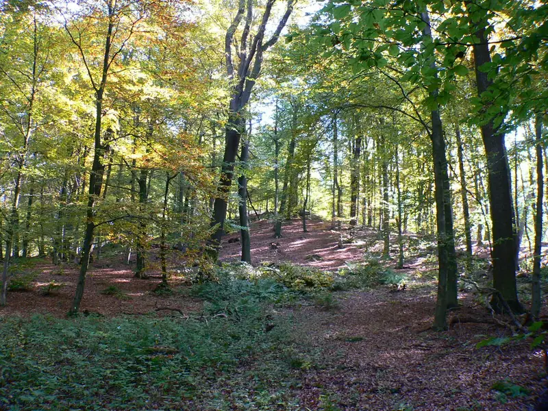  - Castle in Germany, Germany