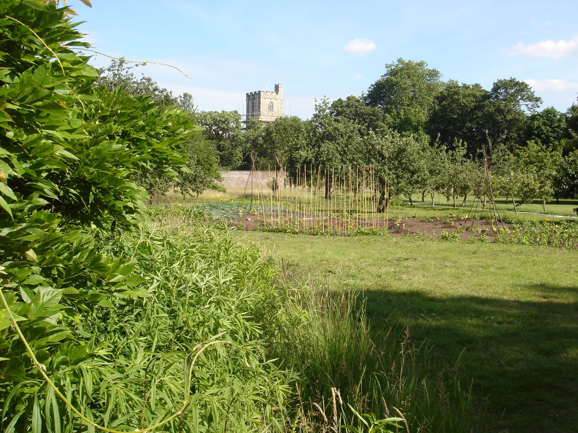 All Saints Church - cultural site in Hesse, Germany