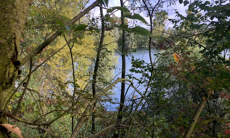  - Nature Reserve in Germany, Germany