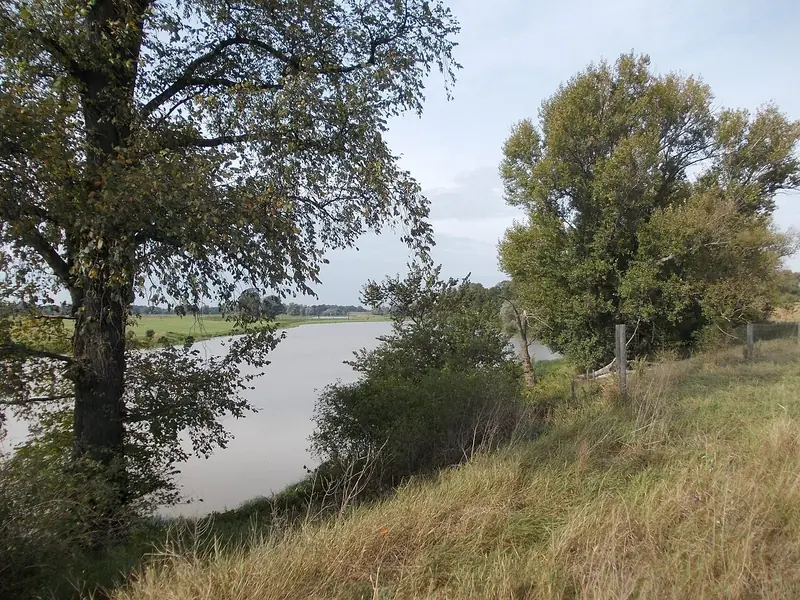  - Nature Reserve in Germany, Germany