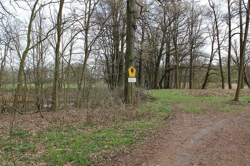  - Nature Reserve in Germany, Germany