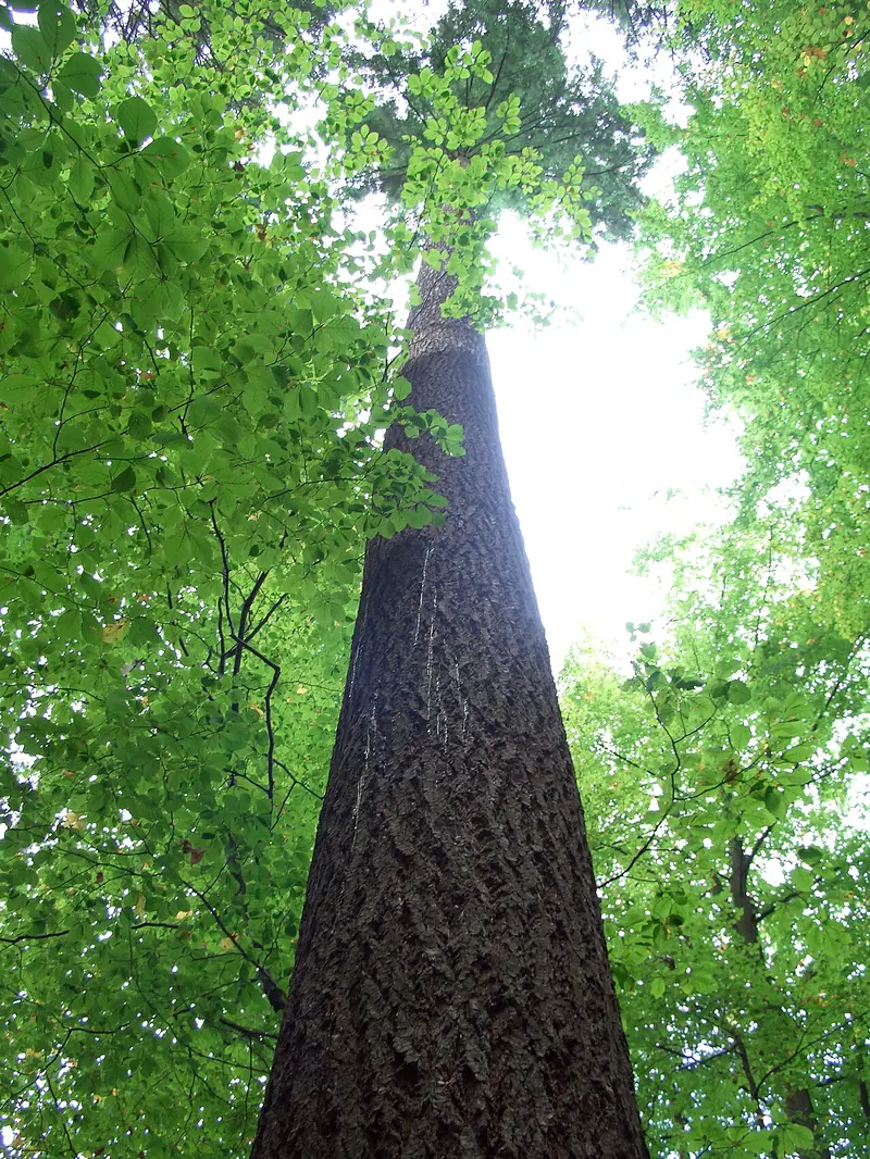  - Botanical Garden in Germany, Germany