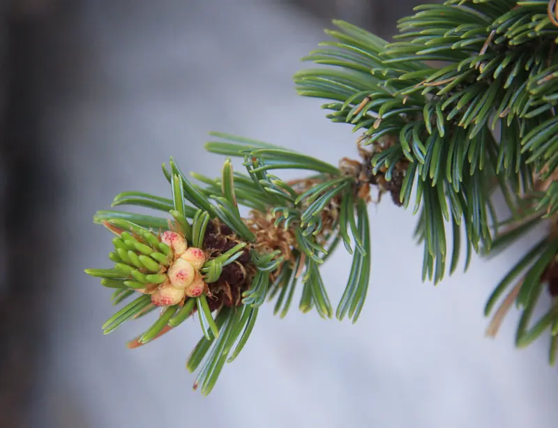  - Botanical Garden in Germany, Germany