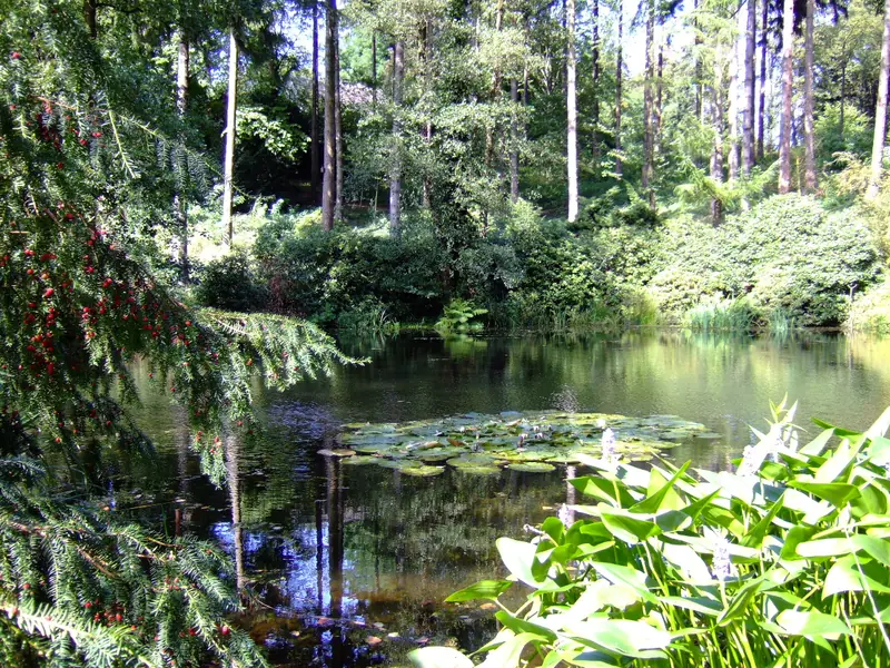  - Botanical Garden in Germany, Germany