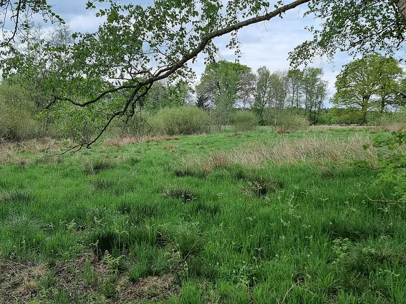  - Nature Reserve in Germany, Germany