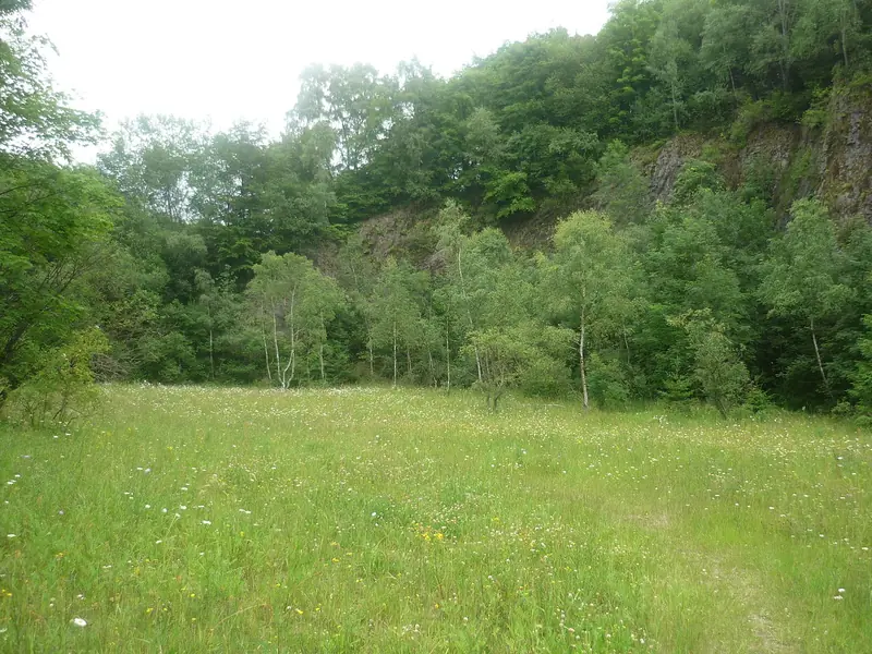  - Nature Reserve in Germany, Germany