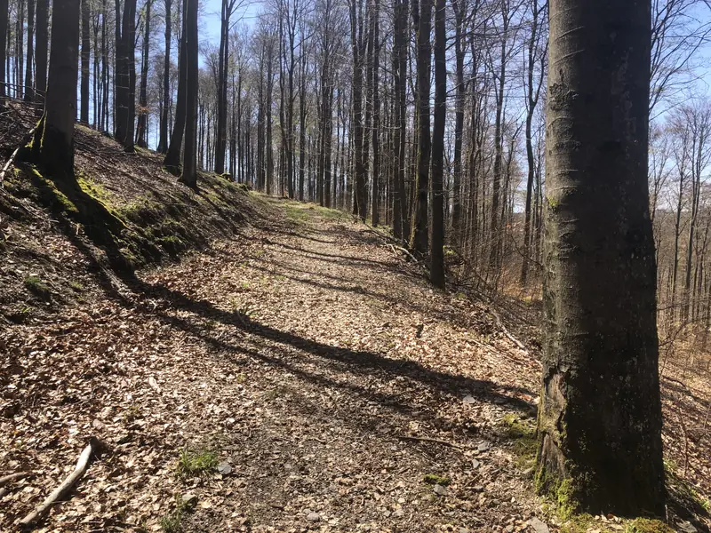  - Nature Reserve in Germany, Germany