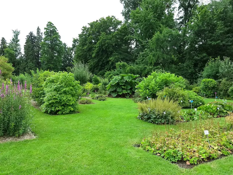  - Botanical Garden in Germany, Germany