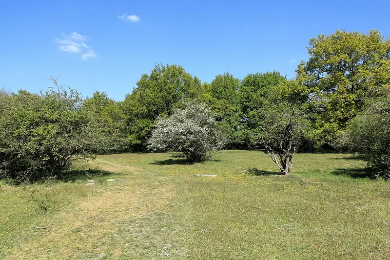  - Nature Reserve in Germany, Germany