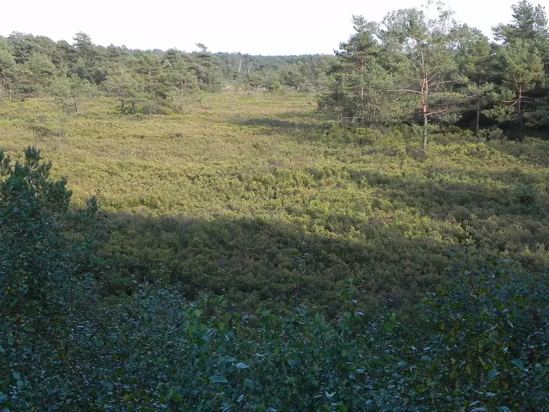  - Nature Reserve in Germany, Germany