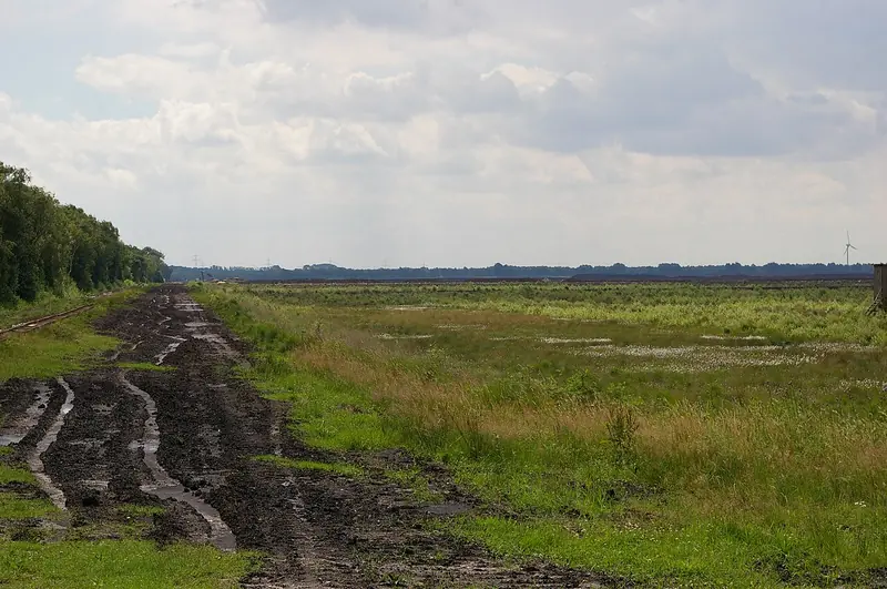  - Nature Reserve in Germany, Germany