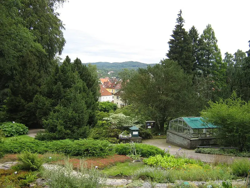  - Botanical Garden in Germany, Germany