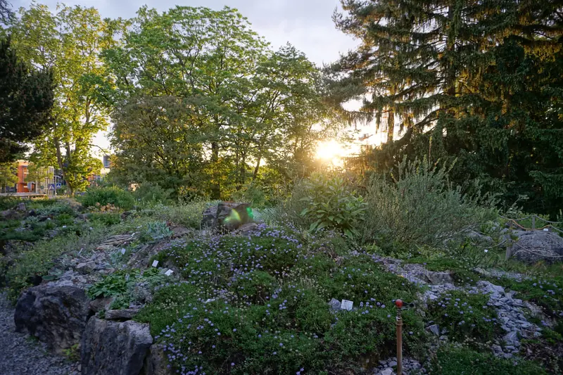  - Botanical Garden in Germany, Germany