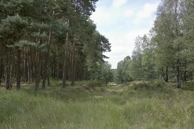  - Nature Reserve in Germany, Germany