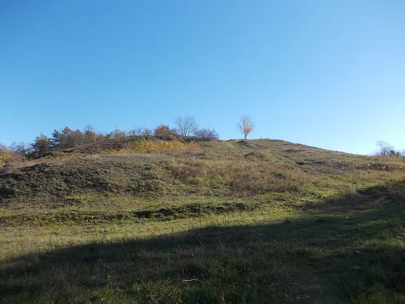  - Nature Reserve in Germany, Germany