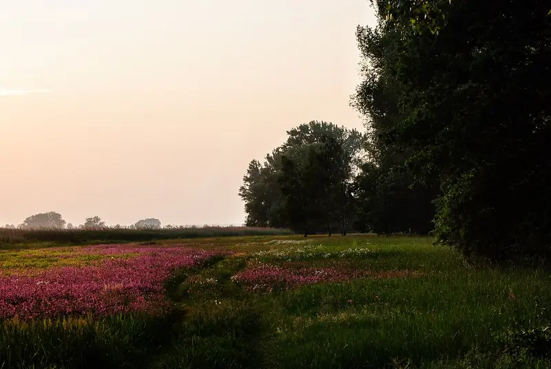  - Nature Reserve in Germany, Germany