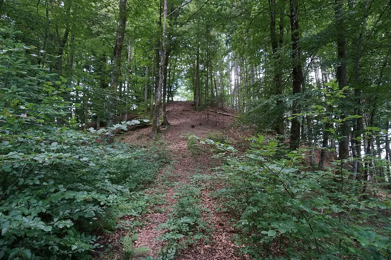  - Castle in Germany, Germany