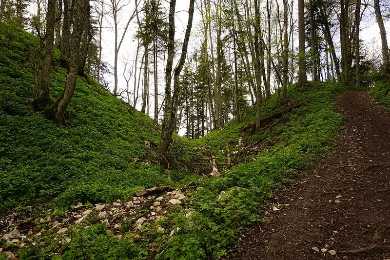  - Castle in Germany, Germany