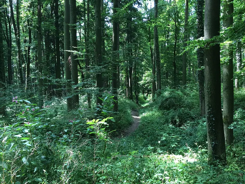  - Castle in Germany, Germany