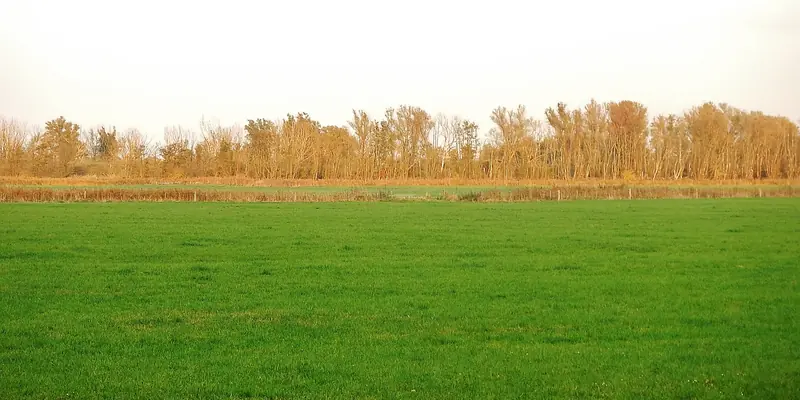  - Lake in Germany, Germany