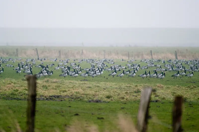  - Nature Reserve in Germany, Germany