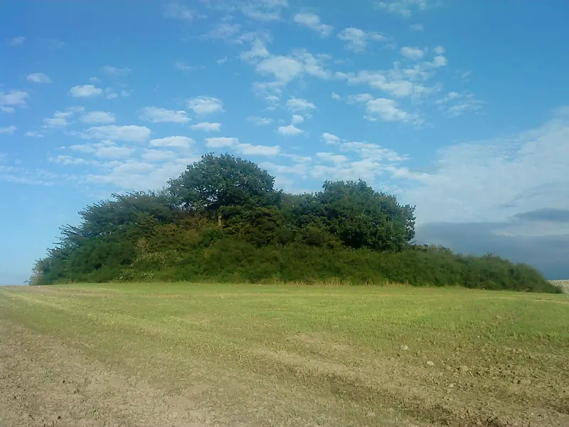  - Archaeological Site in Germany, Germany