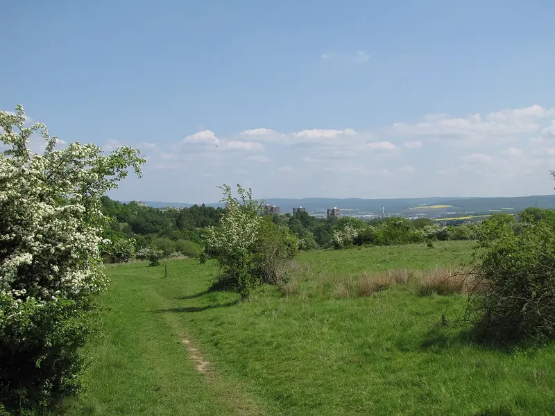  - Nature Reserve in Germany, Germany