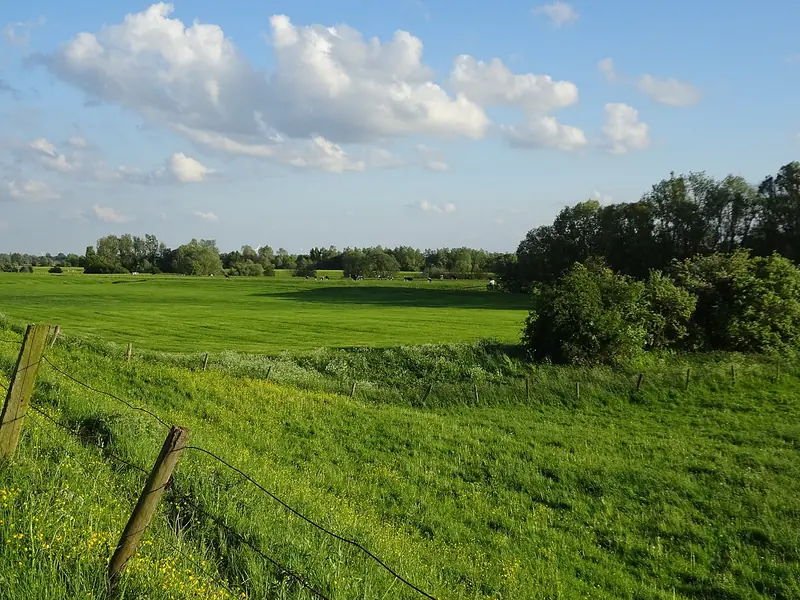 - Nature Reserve in Germany, Germany