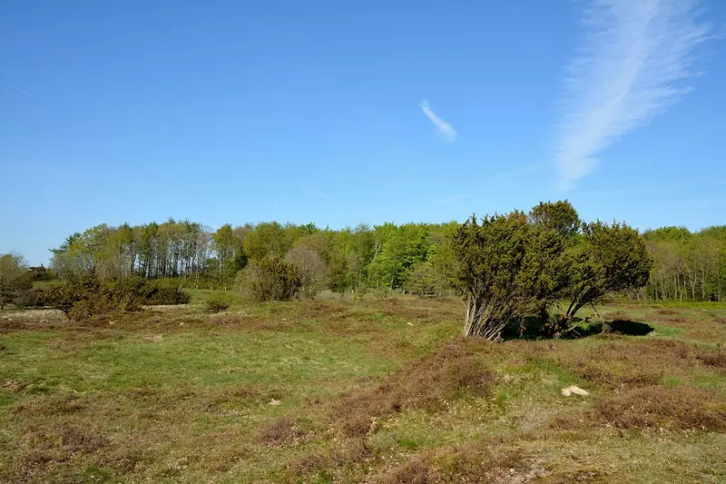  - Nature Reserve in Germany, Germany