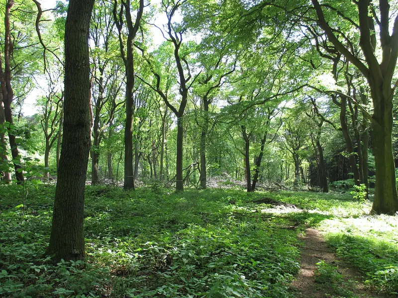  - Park in Germany, Germany