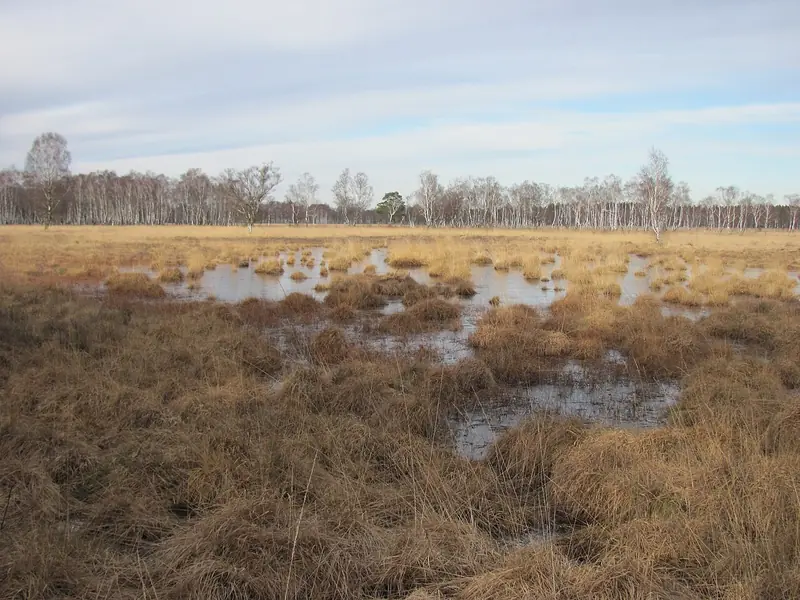  - Nature Reserve in Germany, Germany