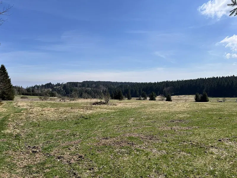  - Nature Reserve in Germany, Germany