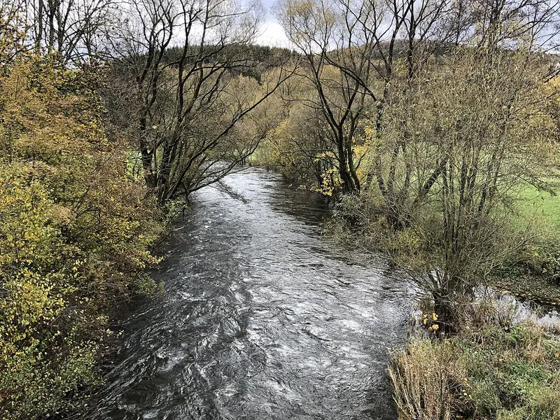  - Nature Reserve in Germany, Germany