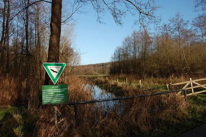  - Nature Reserve in Germany, Germany