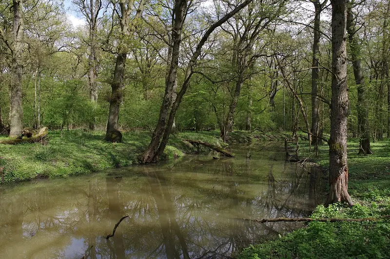  - Nature Reserve in Germany, Germany