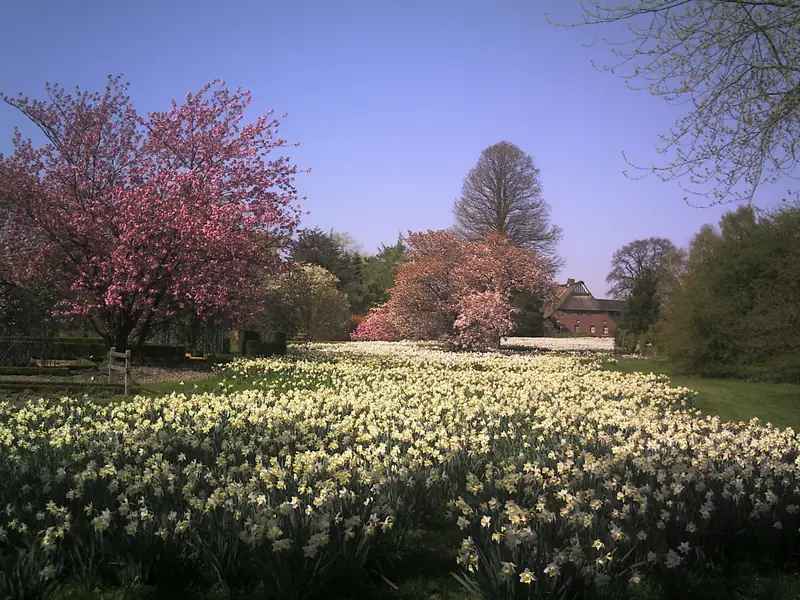  - Botanical Garden in Germany, Germany