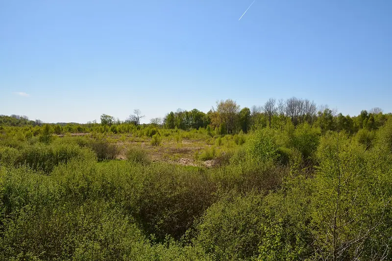  - Nature Reserve in Germany, Germany