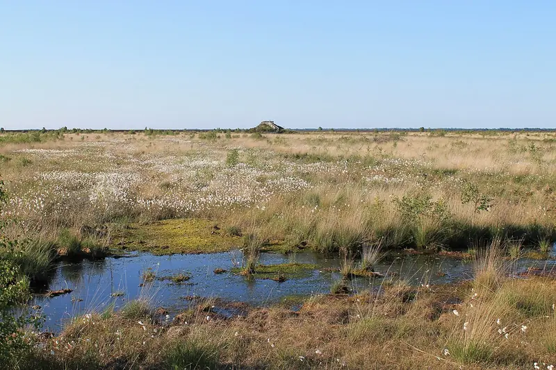 - Nature Reserve in Germany, Germany