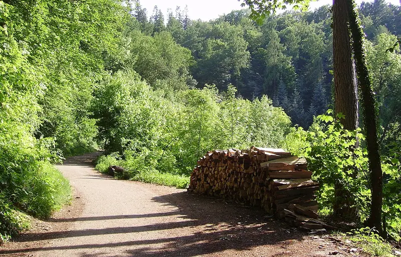  - Botanical Garden in Germany, Germany