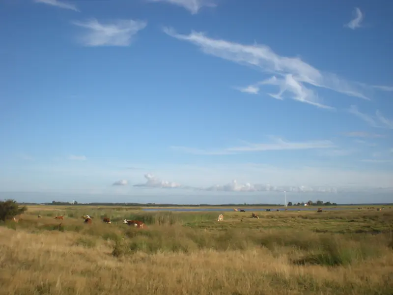  - Island in Germany, Germany