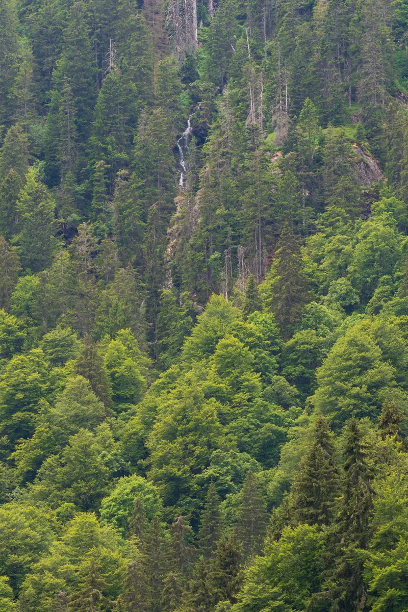  - Lake in Germany, Germany
