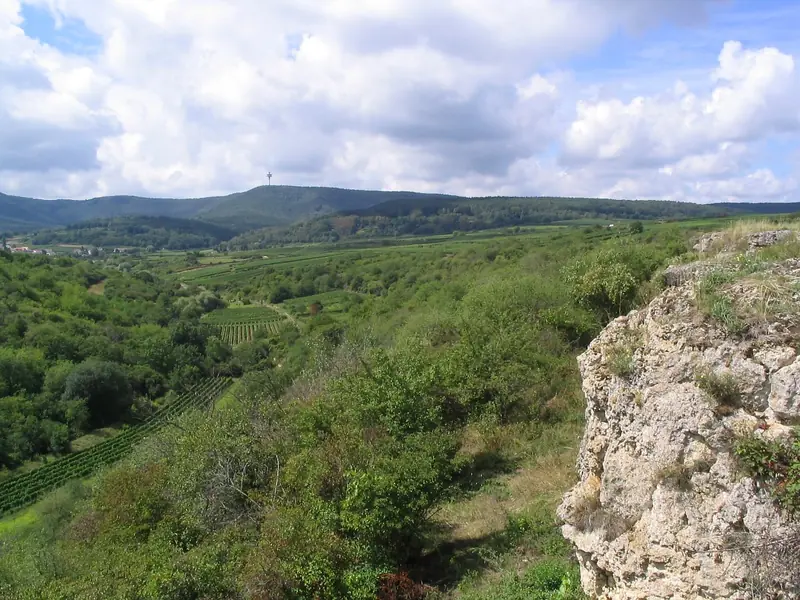  - Nature Reserve in Germany, Germany