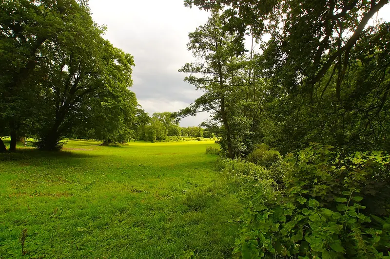  - Nature Reserve in Germany, Germany