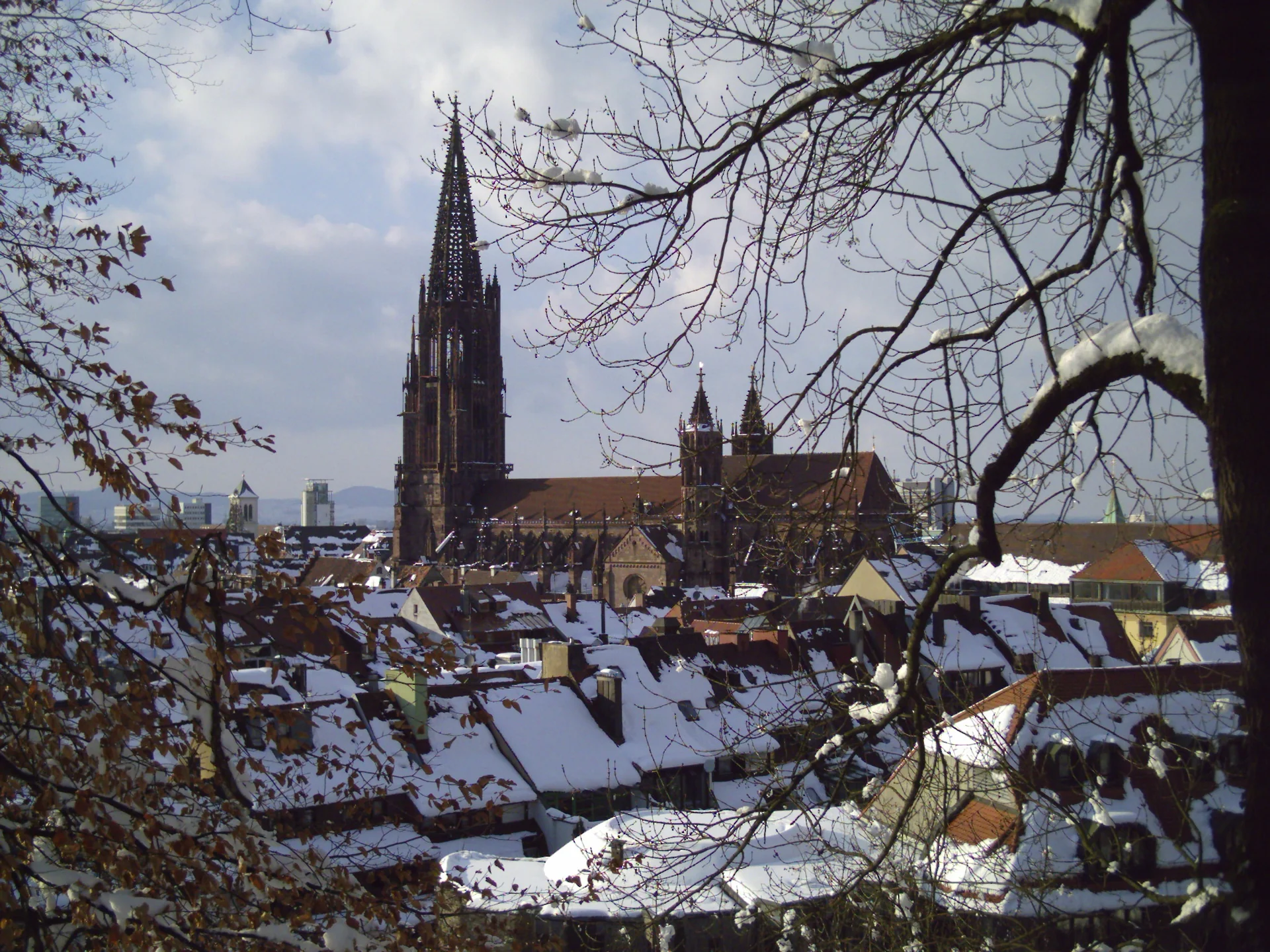 Freiburg Minster - cultural site in Baden-Württemberg, Germany
