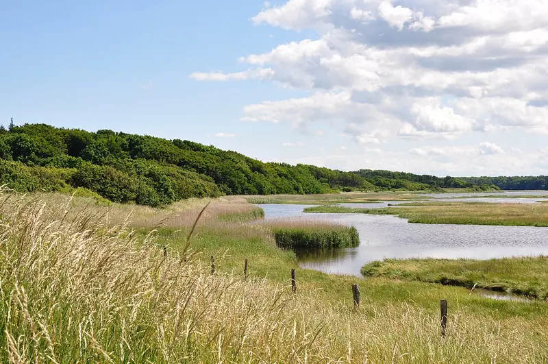  - Nature Reserve in Germany, Germany