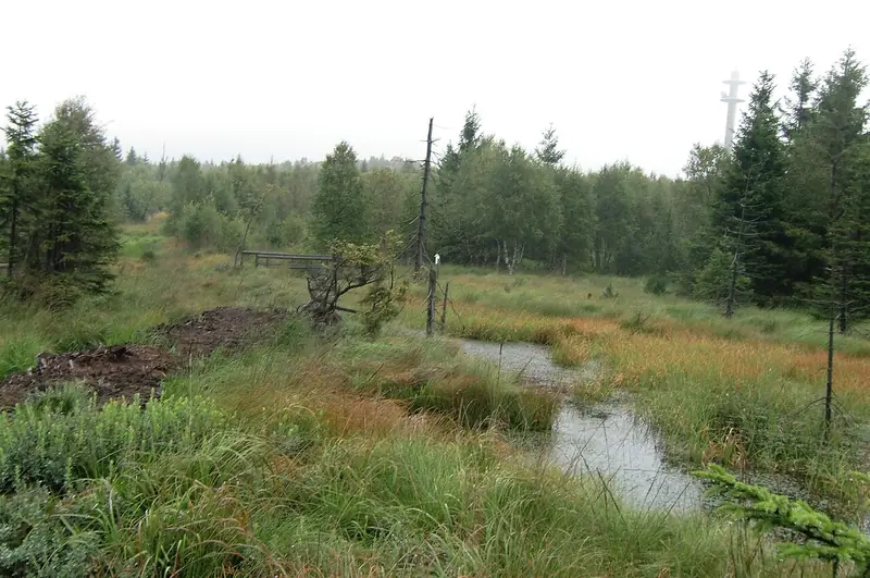  - Nature Reserve in Germany, Germany