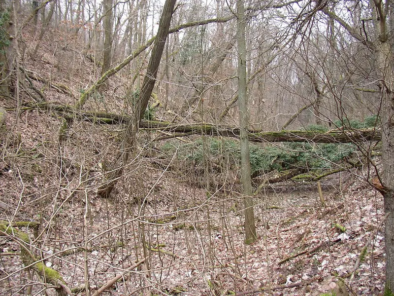  - Nature Reserve in Germany, Germany