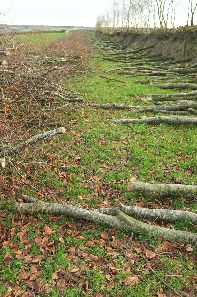  - Nature Reserve in Germany, Germany