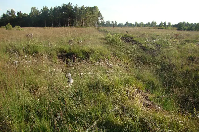  - Nature Reserve in Germany, Germany