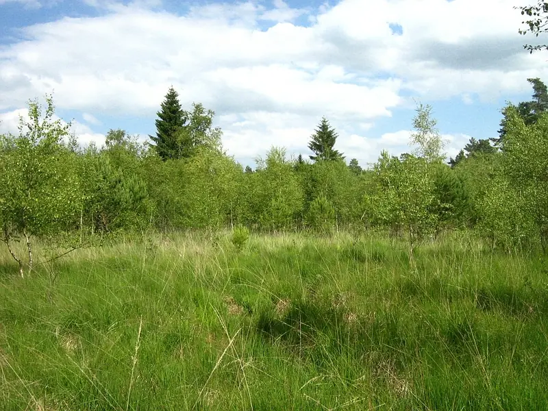  - Nature Reserve in Germany, Germany